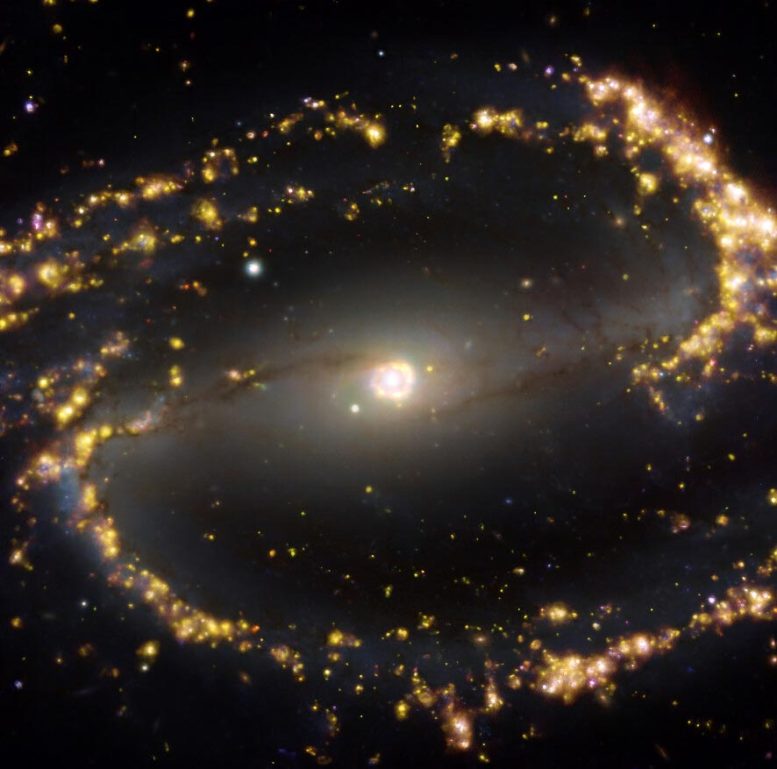 NGC 1300 MUSE