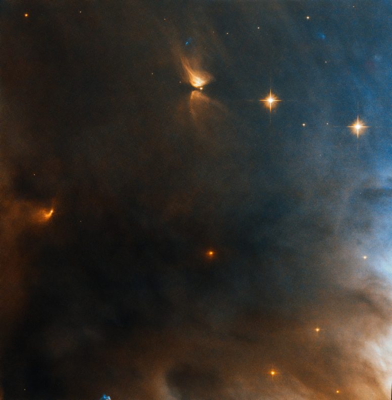 NGC 1333 Reflection Nebula