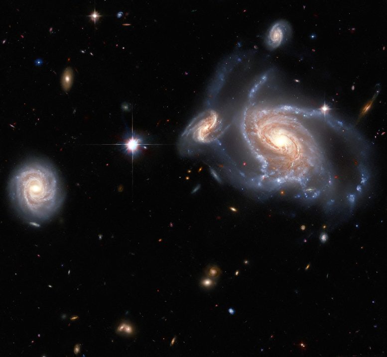 NGC 1356, LEDA 467699, LEDA 95415 și IC 1947