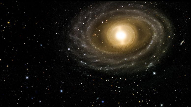 NGC 1398 Galaxy Dark Energy Camera