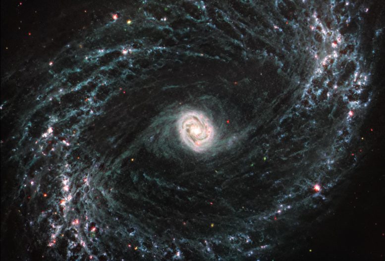 NGC 1433 (Webb MIRI Image)