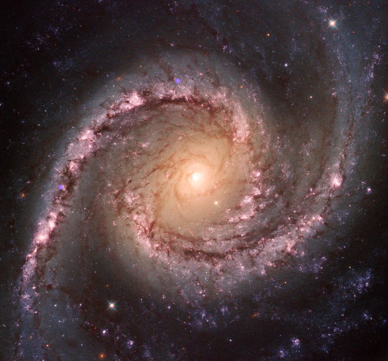 NGC 1566 Composite