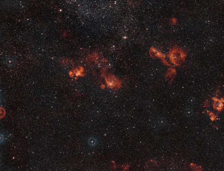 NGC 2014 and NGC 2020 LMC