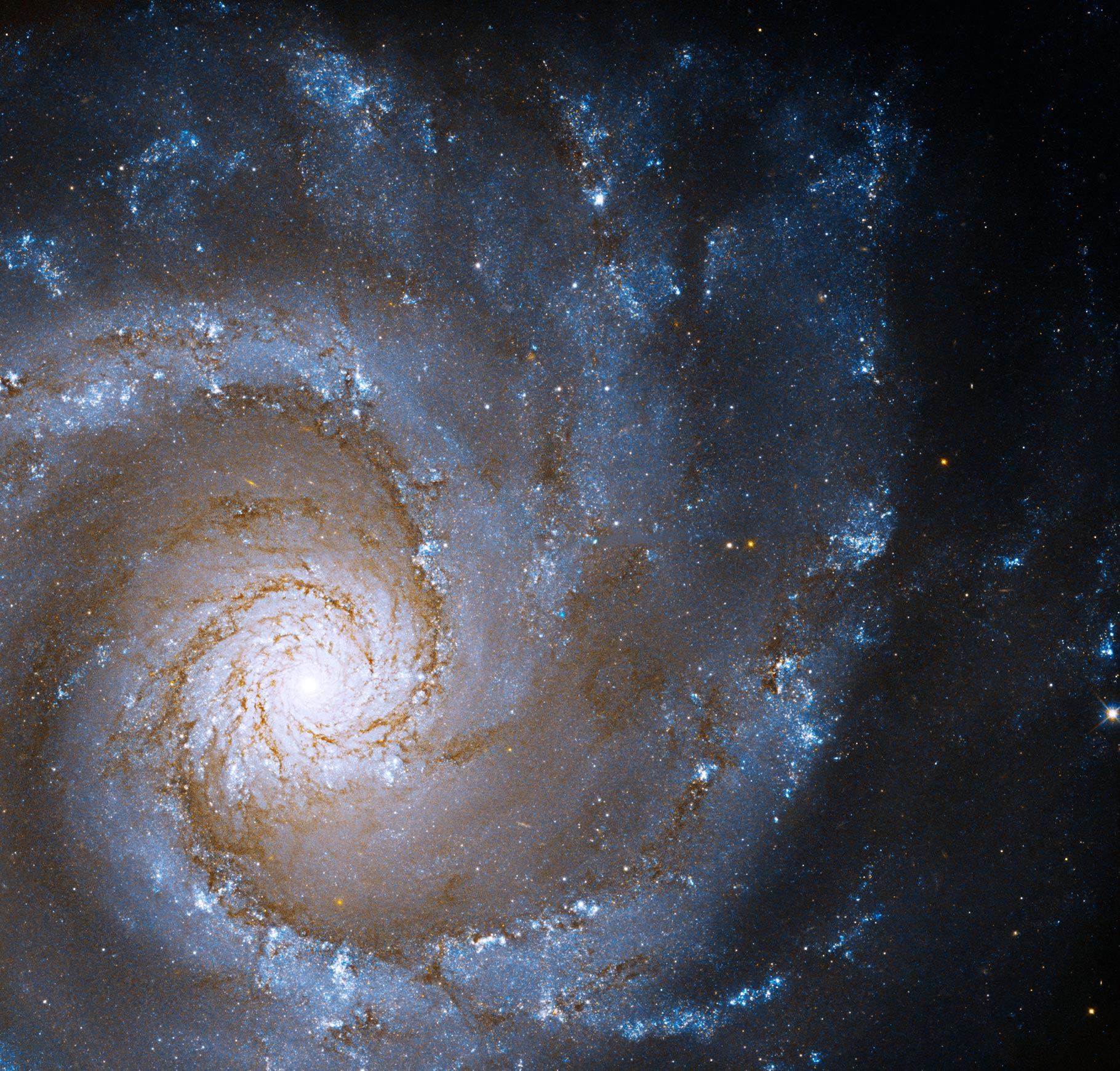 ハッブル、雄大な大螺旋銀河の正面を捉える
