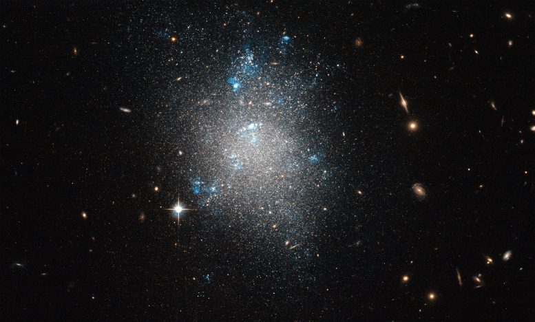 Dwarf Galaxy NGC 5477