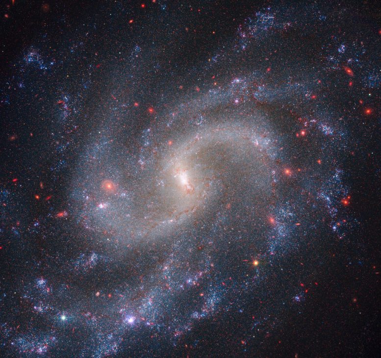 NGC 5584 (Webb NIRCam and Hubble WFC3)