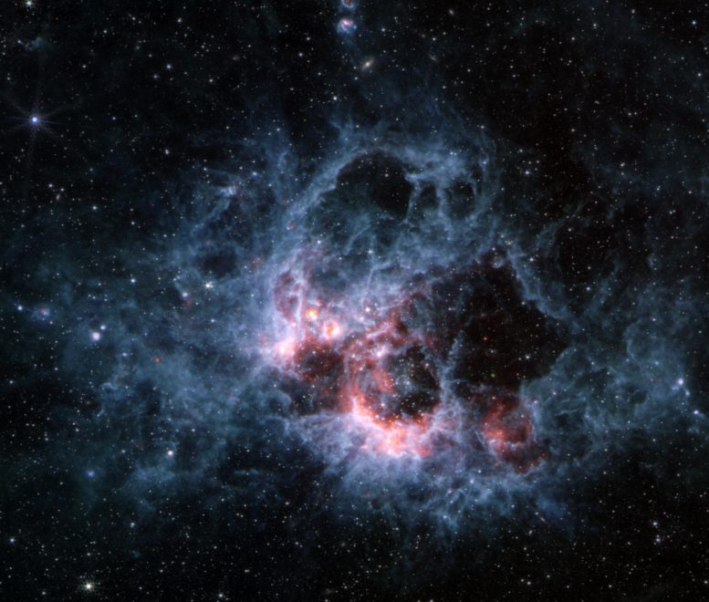 NGC 604 (תמונת Webb MIRI)