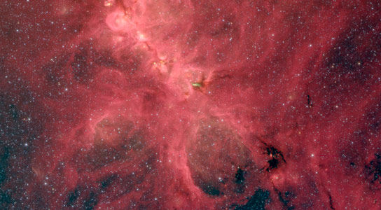 NGC 6334 is Undergoing a Mini Starburst