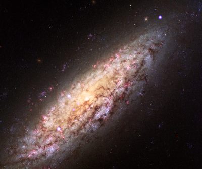 NGC 6503 Composite