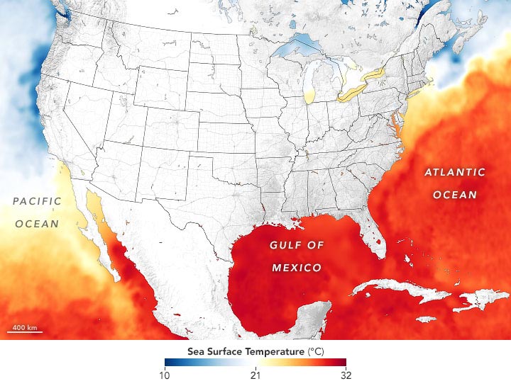 NOAA Satellite Sea Surface Temperature Map August 2020