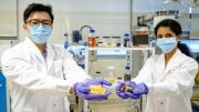 NTU Scientists Fruit Peel Waste