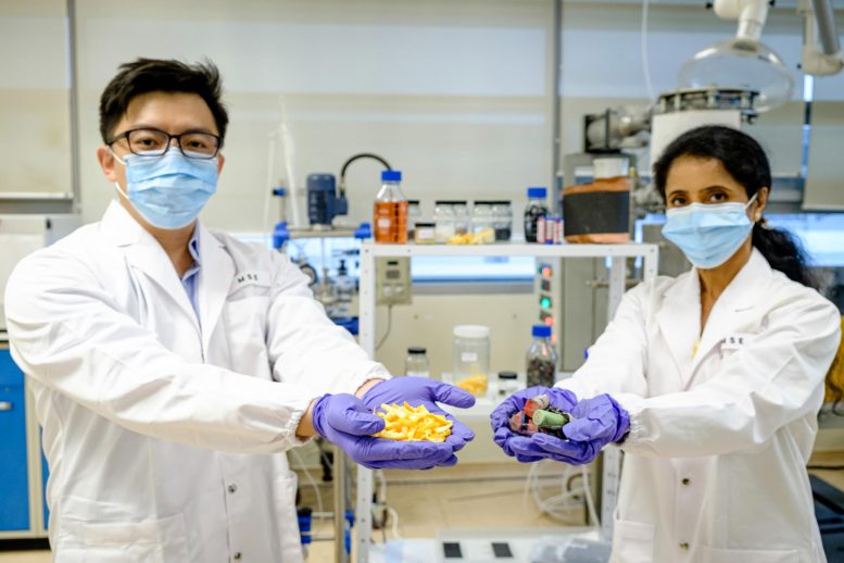 NTU Scientists Fruit Peel Waste