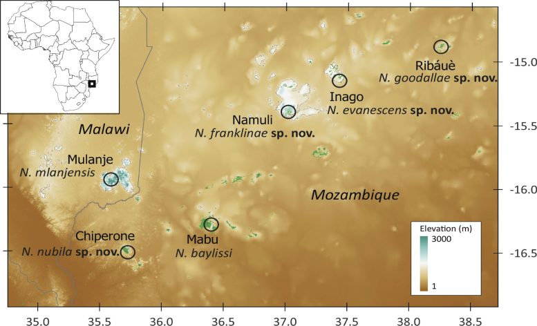 Nadzikambia Chameleon Sampling Localities Map