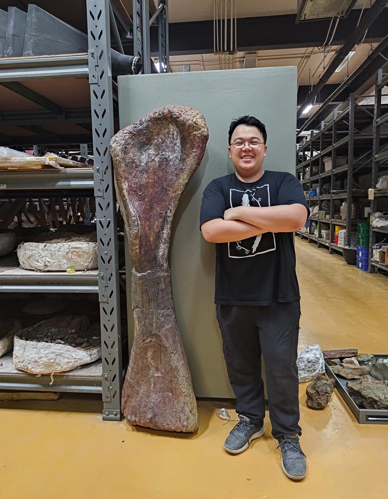 Nagatitan Front Leg Bone