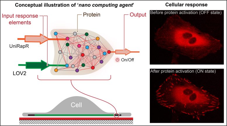 Nano Computing Agent