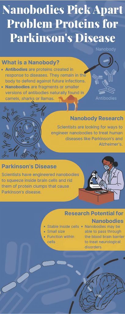 Nanobodies Infographic