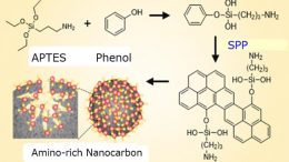 Nanocarbon Adsorbent Synthesis Process