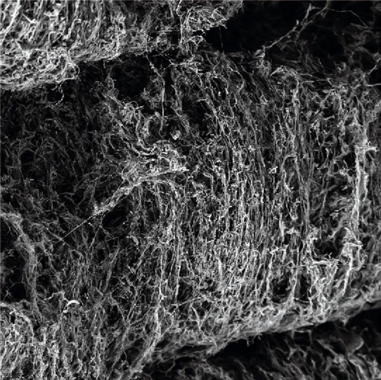 Nanocellulose Fibers Created by Bacteria