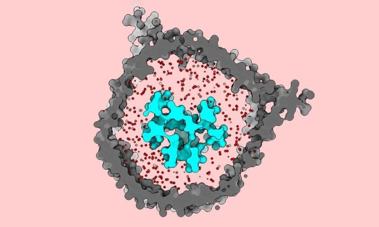 Scientists Finally Reveal How Cancer-Fighting T Cells Switch On
