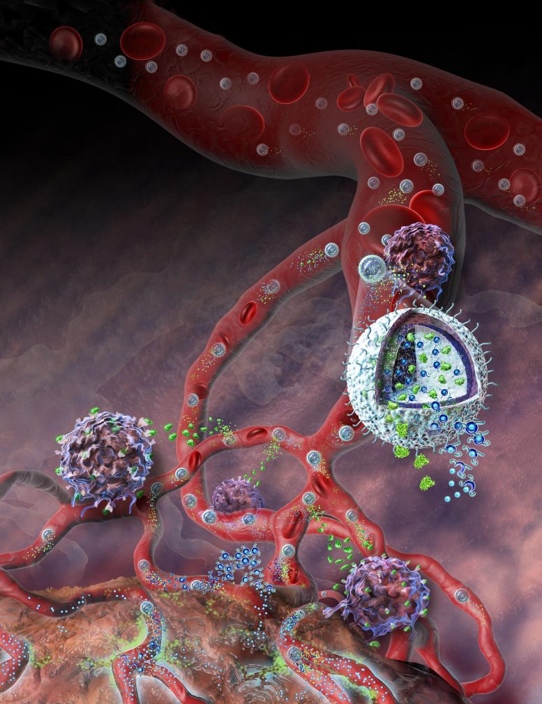 Nanolipogel Immunotherapy