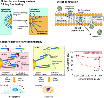 Scientists Develop “Nanomachines” That Can Penetrate and Kill Cancer Cells