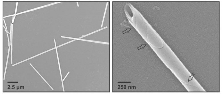 Nanomaterial Forms Tubes
