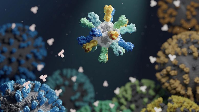 Flu Shot Your Secret Weapon Against The Next Pandemic Ferret Study - llgr1ed
