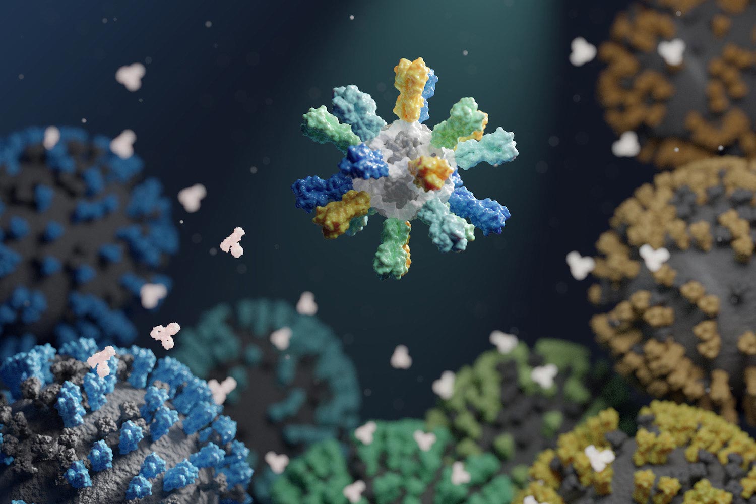New influenza nanoparticle vaccine blocks many seasonal and pandemic strains