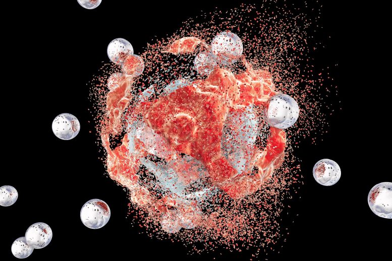 Nanoparticles Destruction of Cancer Cell