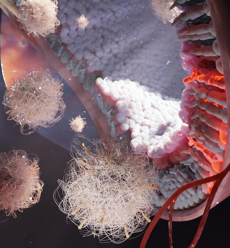 Nanoparticles Entering Neural Retina