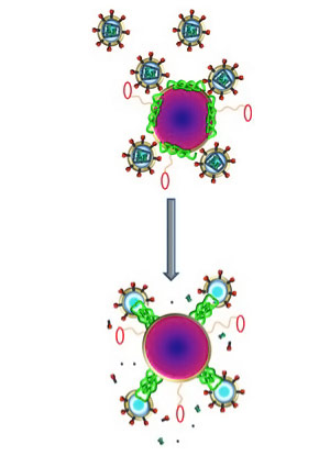 Nanoparticles Loaded with Melittin Kill HIV