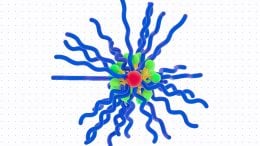Nanoparticles Provoke Immune Response Against Tumors