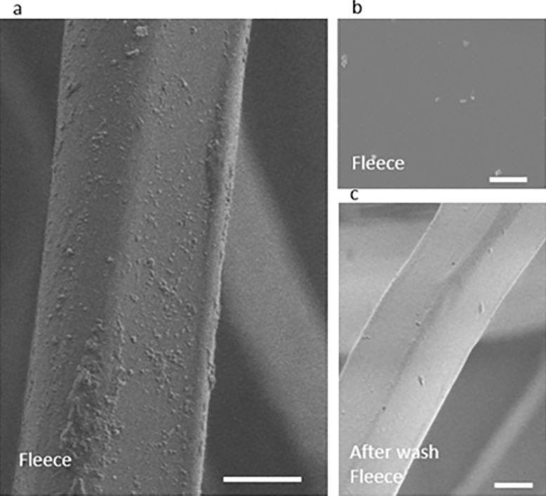 Nanoparticles on the Surface of the Fleece Fiber