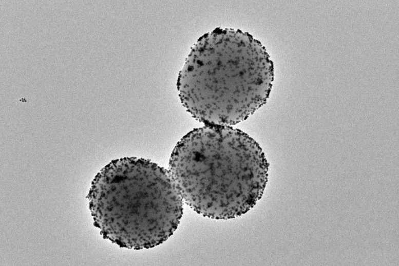 Nanorobots Transmission Electron Microscopy Image