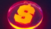 Nanorods created with firefly enzymes glow orange