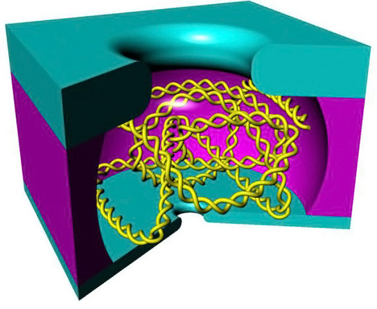 Nanoscale Cage Could Improve Nanopore Technology