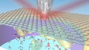 Nanoscale Peek at the Solid-Liquid Interface