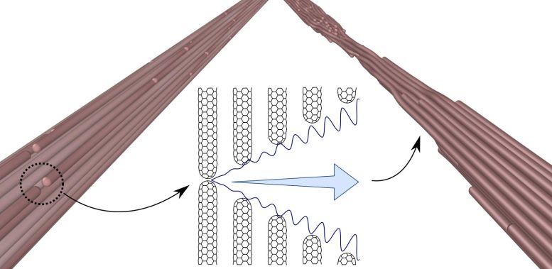 Nanotube Fiber Failure