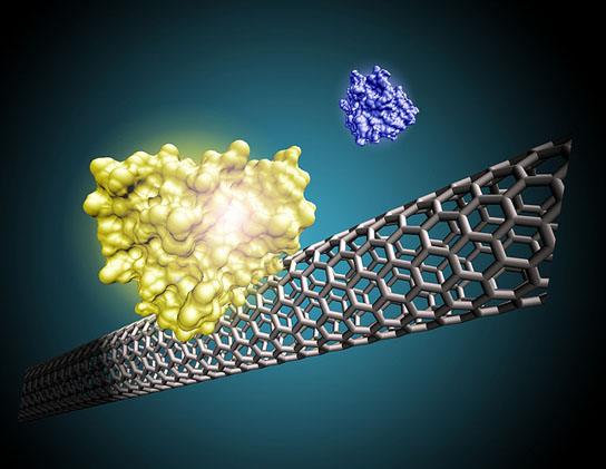 Nanotube sensor