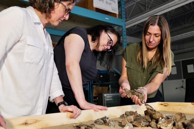 Natalia Rybczynski, Danielle Fraser and Marisa Gilbert