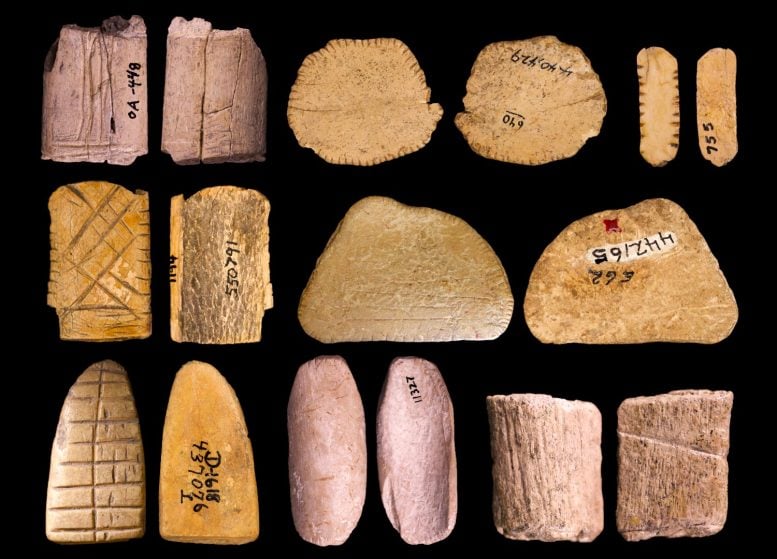 12,000-Year-Old Native American Dice Rewrite the History of Gambling