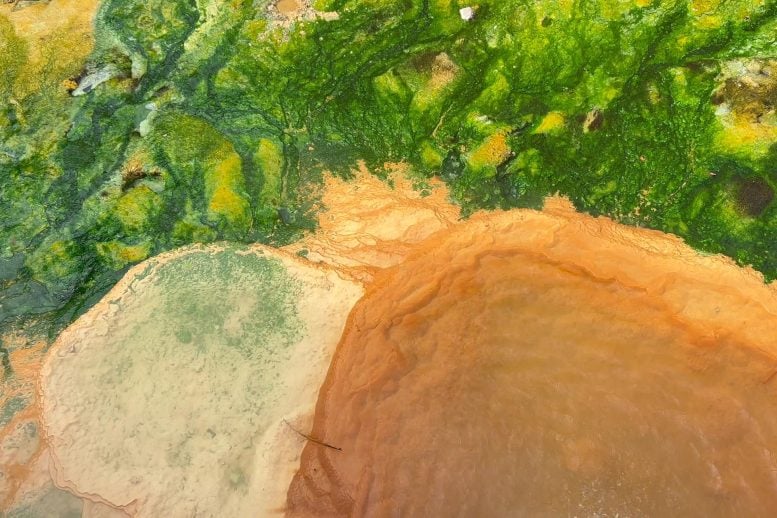 Natural Hot Springs With Iron Rich Water