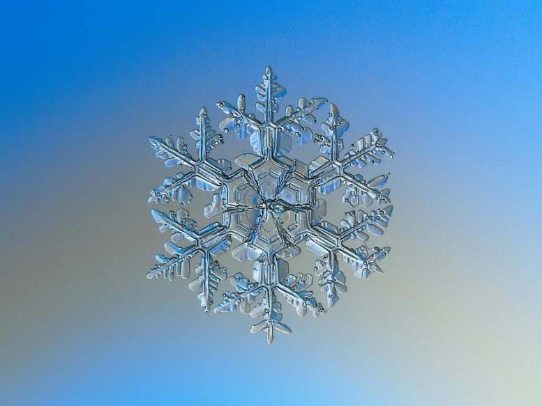 Natural Snowflake