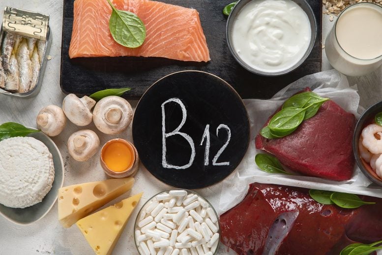 Natural Sources of Vitamin B12