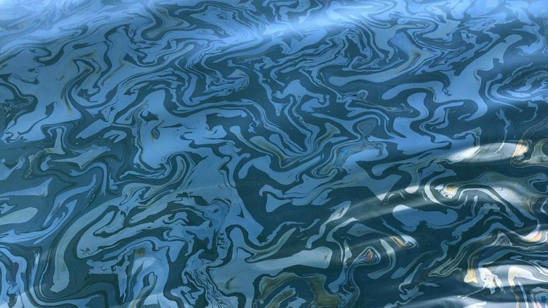 Naturally Occurring Oil Slick