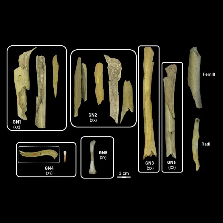 ������� �������������� �� ������� ������ ����