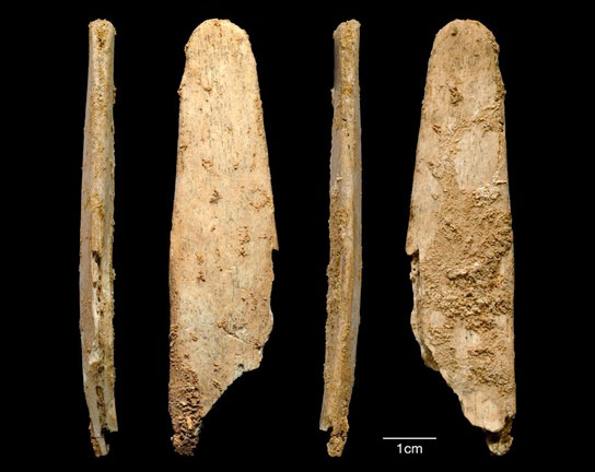 Neandertals Made the First Specialized Bone Tools in Europe