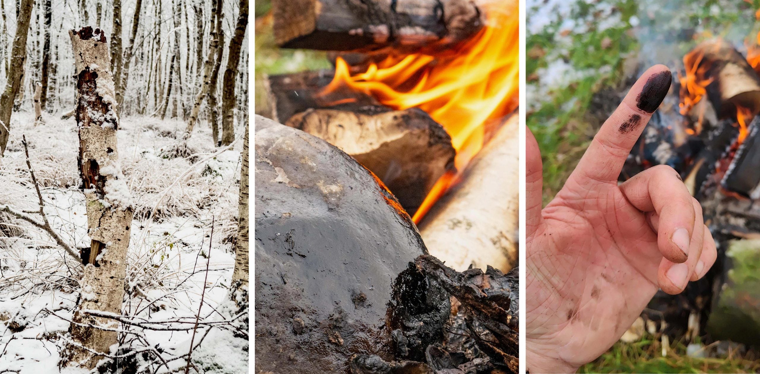 Neanderthals May Have Used Birch Tar As Ancient Antibiotic, Study Finds