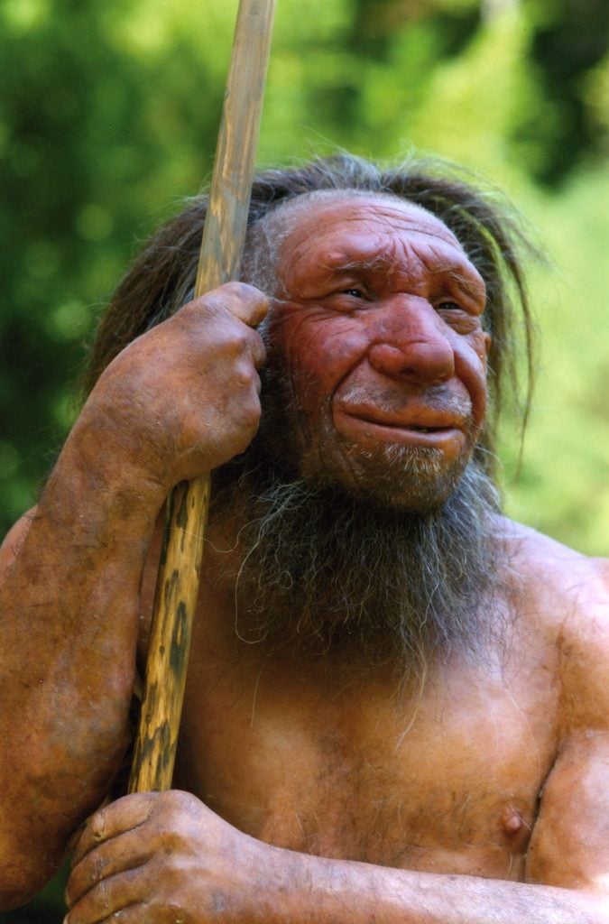 Neanderthal Reconnstruction