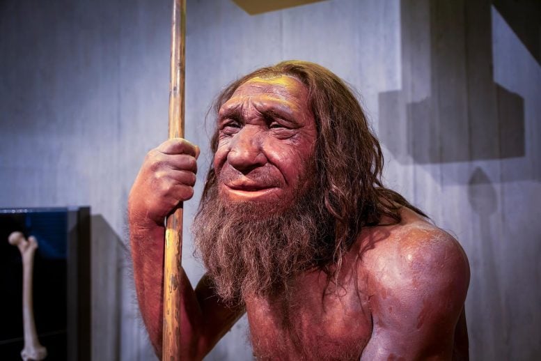 The Neanderthal “Love Story” Isn’t What It Seems